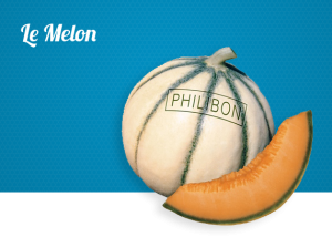 melon PHILIBON emblême de la marque